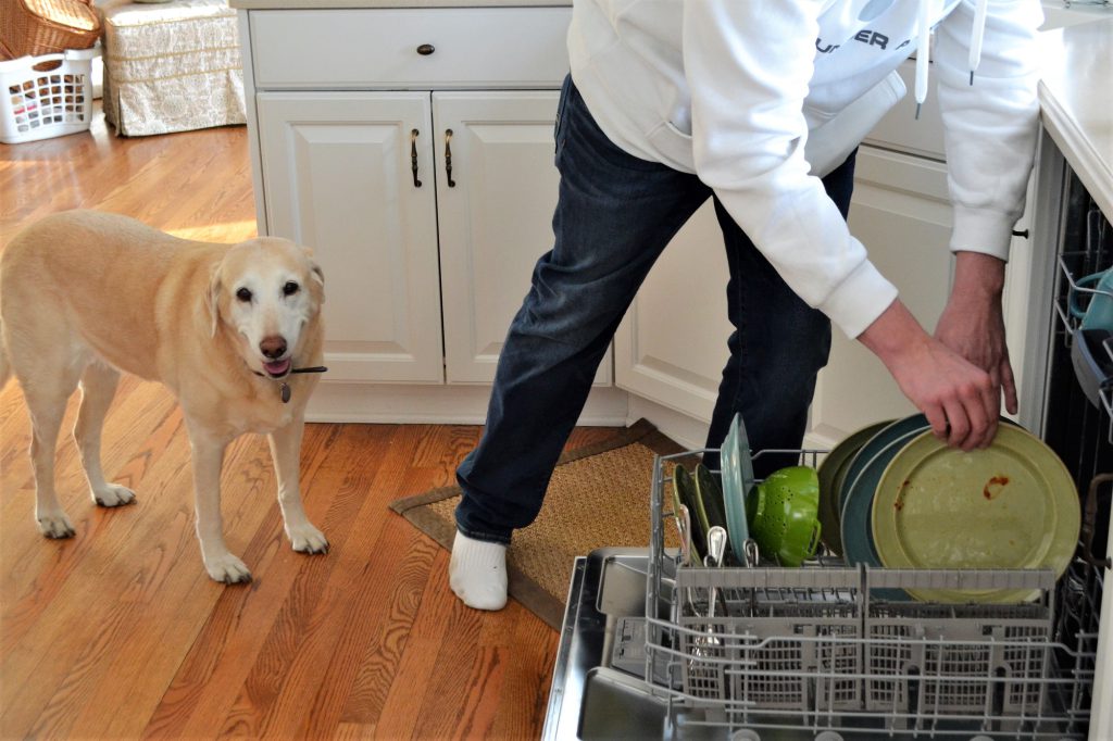 Man doing house chores emptying dishwasher in the kitchen